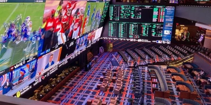 Sportsbook có khả năng phân loại thông tin một cách hợp lý